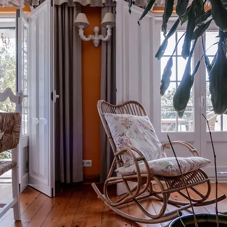 B&B Magnolia 레이리아