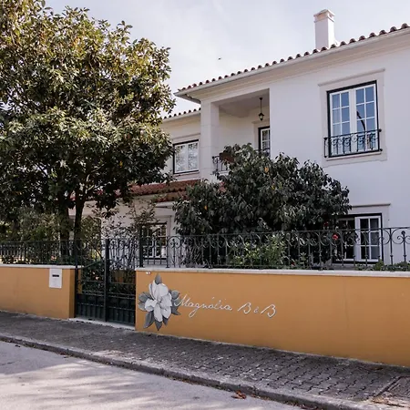 Magnolia 3*