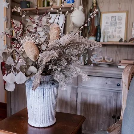 Magnolia 레이리아