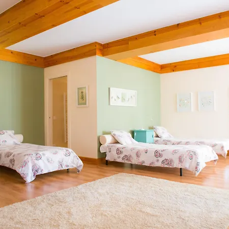 Magnolia 레이리아