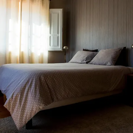 Magnolia 레이리아