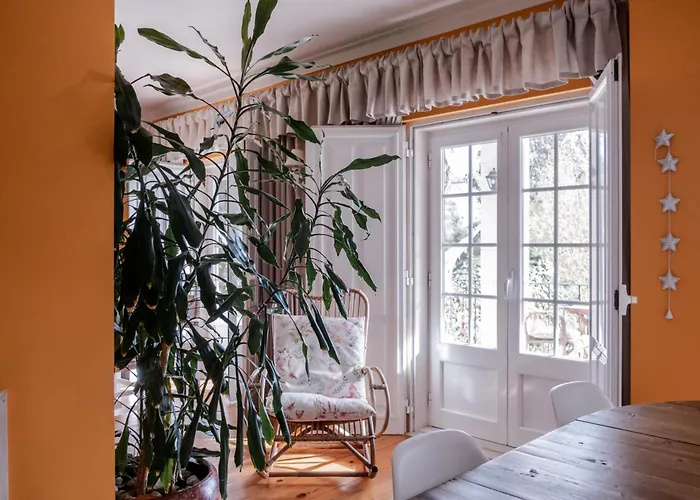 Bed and Breakfast Magnolia